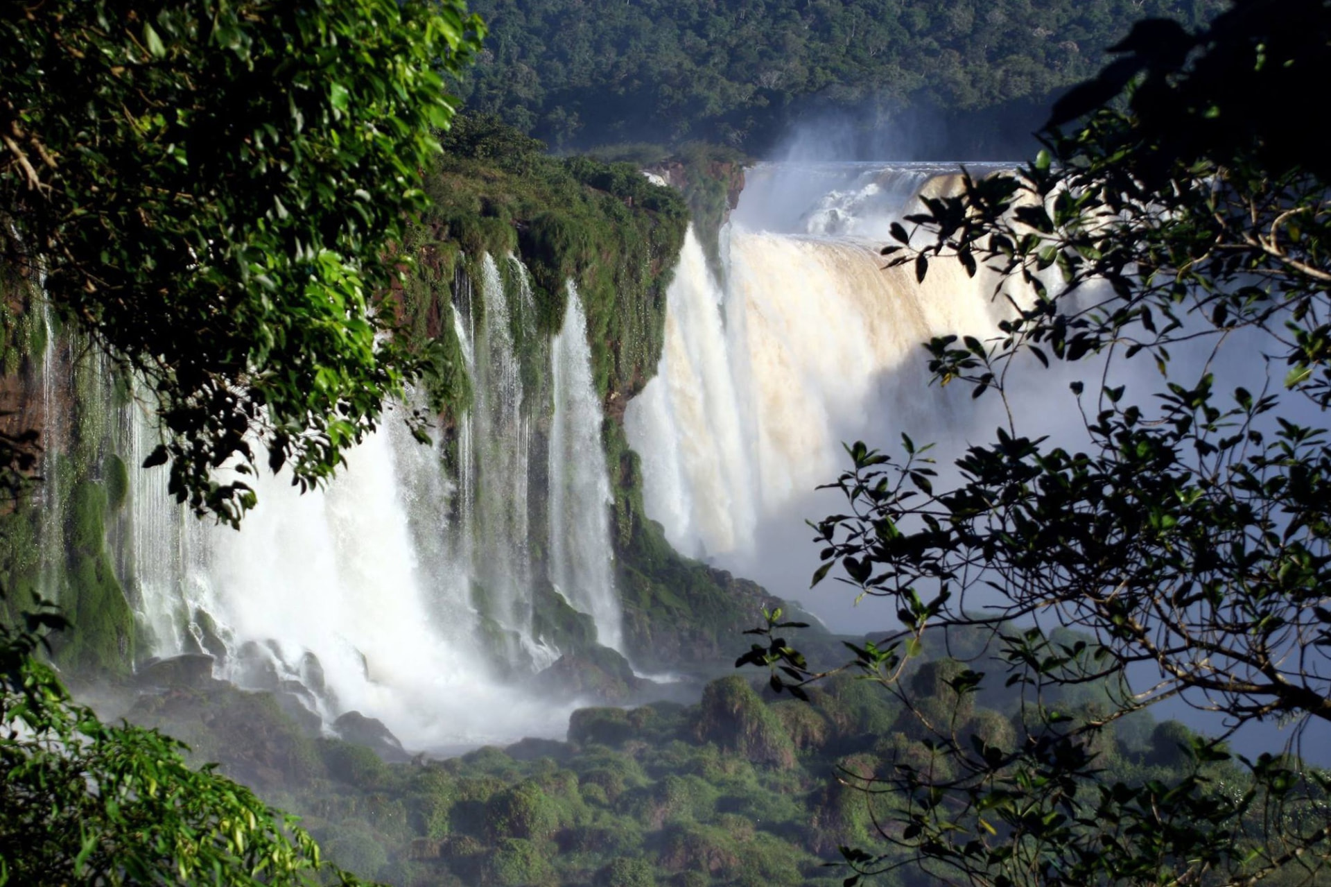 De Iguazú-watervallen tussen het regenwoud