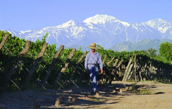 Wijngebied Mendoza